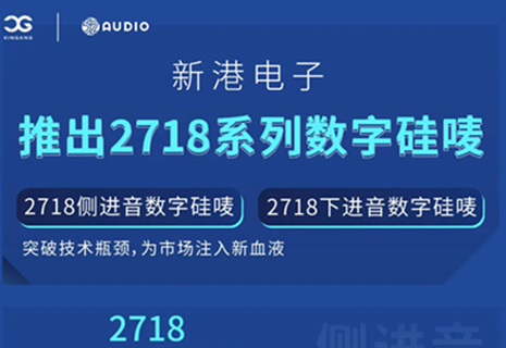 w66利来国际电子发布2718系列数字硅唛，突破技术瓶颈，为市场注入新血液